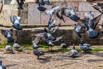 Fototapety na wymiar - Fototapeta24.pl