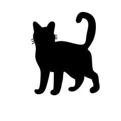 A cat silhouettes pet animals graphics 