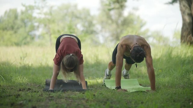 Yogis Practicing Cobra Pose On Mats In Park. Yoga Backbend Exercise 