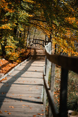 A Beautiful, Scenic Autumn Pathway that is Surrounded by Colorful and Vibrant Trees