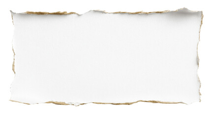 Obraz premium Torn white paper with textured edges isolated on white background