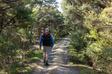 Naklejka premium A man hikes a gravel path through native bush in New Zealand. He wears a backpack and casual clothing. He is enjoying the outdoors and getting exercise.