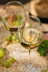 White wine glass reflecting grapes and straw hat on rustic summer table with green foliage..