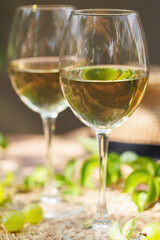Two glasses filled with white wine on rattan placemat surrounded by green vines and sunlight..