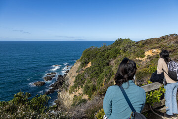 Two female tourists admire the scenic view of the ocean from a cliffside lookout point in...