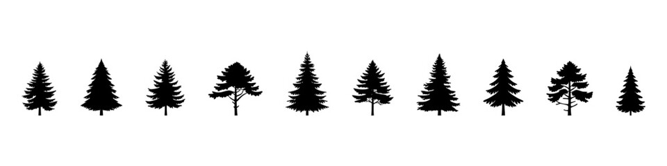 Set of Coniferous Tree templates in solid style. Black forest silhouettes variations. Pine, spruce, fir, labels. Isolated on white background