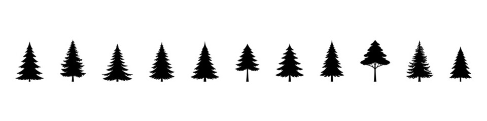 Set of Coniferous Tree templates in solid style. Black forest silhouettes variations. Pine, spruce, fir, labels. Isolated on white background