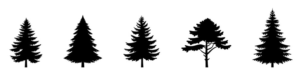Set of Coniferous Tree templates in solid style. Black forest silhouettes variations. Pine, spruce, fir, labels. Isolated on white background