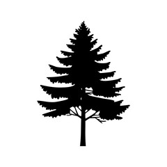 Coniferous Tree templates in solid style. Black forest silhouettes variations. Pine, spruce, fir, labels. Isolated on white background.