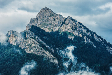view on rocky mountain peak with pines and clouds in the French Chartreuse region