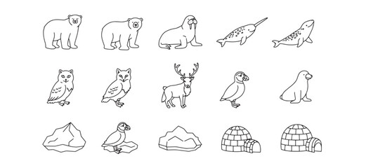 Cute and simple line art illustrations of arctic animals and their habitats isolated