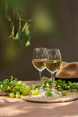 Two white wine glasses surrounded by grapes, vines and straw hat on sunny wooden table..
