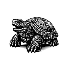 Fototapeta premium Vector art of detailed turtle isolated on white background with textured shell and legs