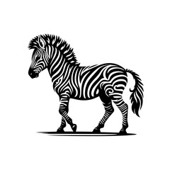 Obraz premium Vector art of elegant zebra with decorative stripes isolated on white background