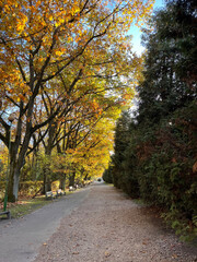 Autumn park, path strewn with leaves, benches. Vertical photo. Cozy landscape
