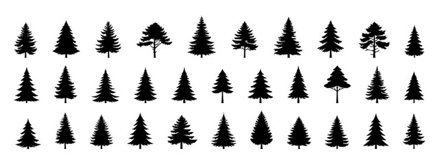 Set of Coniferous Tree templates in solid style. Black forest silhouettes variations. Pine, spruce, fir, labels. Isolated on white background