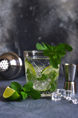 Mojito - cold summer lemonade with lime and mint .