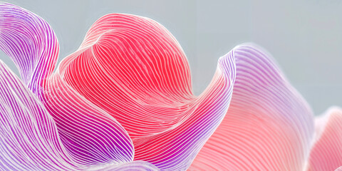 Pink-Purple Line Render - Flowing Form in Gradient Geometry