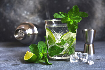 Mojito - cold summer lemonade with lime and mint .