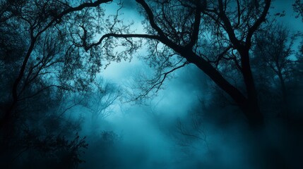 Dark, misty forest at night, trees silhouetted against a blue sky.