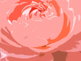 beautiful pink rose art graphic