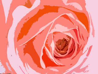 beautiful pink rose art graphic