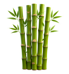 Obraz premium Glossy Green Bamboo Stalks with Leaves on Transparent Background, 3D Realism Graphic for Web Design