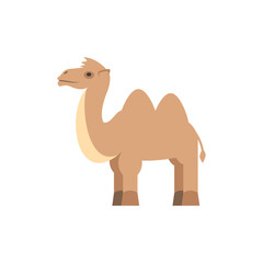 Illustration of Camel Illustration: A Digital Rendering of a Dromedary vector