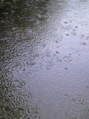 Water in the puddle with ripples and raindrops.