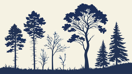 Silhouetted Trees of Various Shapes and Sizes in a Forest.