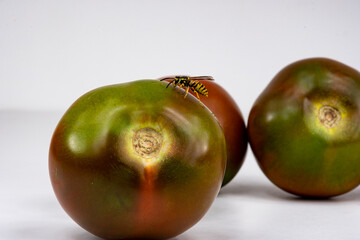 avispa encima de un tomate negro con fondo blanco 