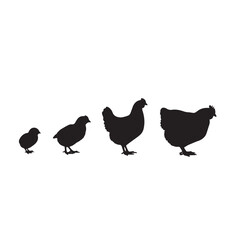 Silhouette of a hen transforming