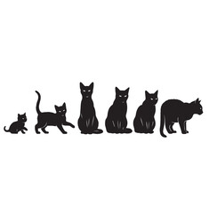 Cat transformation silhouette