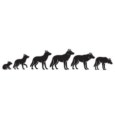 Wolf silhouette