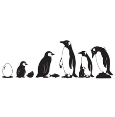 Penguin life cycle silhouette