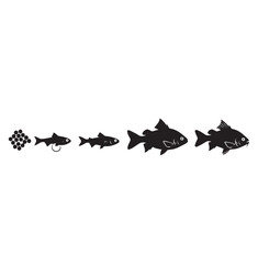 Fish silhouette