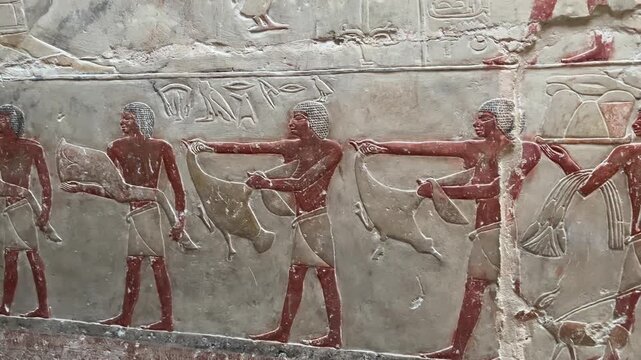 Ancient Egyptian relief from Princess Idut's mastaba in Saqqara, depicting ritual bull sacrifice as part of funerary customs.