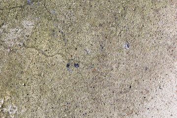 Weathered Grey Concrete Texture