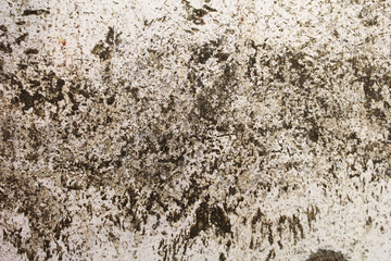 Dirty White Wall Texture
