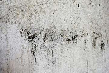 Grungy Whitewashed Wall