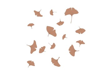 Ginko biloba leaves vector illustration 