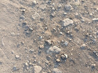 The image shows a close-up of dry, cracked, and rocky ground with patches of brown and green grass.