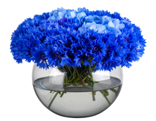Minimalist Blue Flower Arrangement in Round Vase, Top-Down View – Transparent PNG