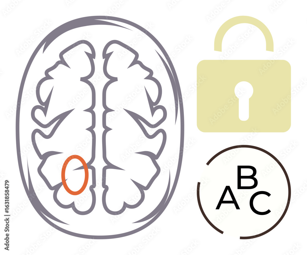 Poster brain anatomy with an outlined region, a locked padlock, and a-b-c choices representing decision-mak