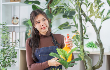 Indoor Gardening. Woman nurturing plants with spray bottle in stylish home.