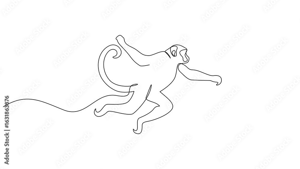 Poster animated self drawing of continuous one line drawing monkey vector outline. full length animated