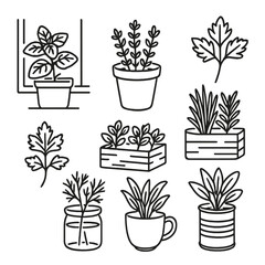 Herb Line Art Icons. Line style icons of potted indoor herbs: mint on windowsill, thyme in ceramic pot, parsley sprig, rosemary in