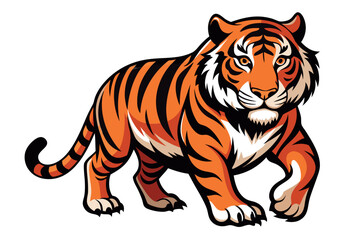 A powerful tiger walking with stripes isolated on white background