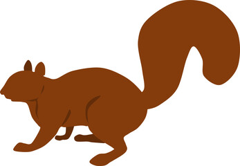 りすのグラフィック素材イラスト