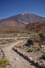 Trail through volcanic plain to Teide